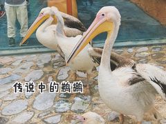 -郑州银基国际旅游度假区