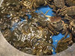 -蓝钻·国际美食海鲜自助百汇(西直门店)