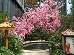 -悦隆庄温泉度假酒店