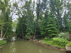 -桤木河湿地公园