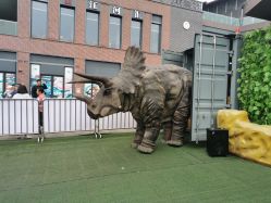 -恐龙探索乐园(磁器口店)