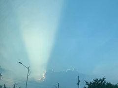 -九爺雞(文德路店)