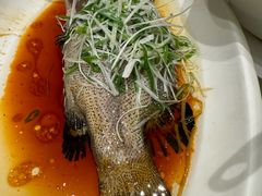 -大东海海鲜酒楼(渔人码头总店)