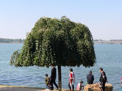 -丁香湖公园