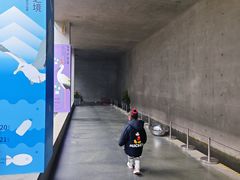 -中国湿地博物馆