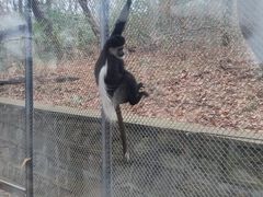 -合肥野生动物园