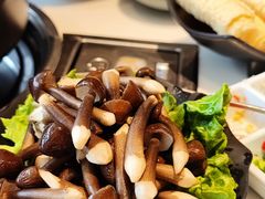 鸡枞菌-东椰·海南椰子鸡火锅(朝阳门店)