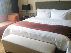 -徐州博顿温德姆酒店(高铁东站店)