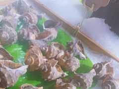 -福禧荟·海鲜自助