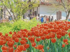 -苏州上方山国家森林公园