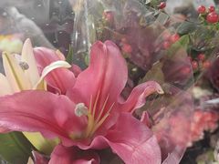 -循礼门鲜花花市(武汉循礼门店)