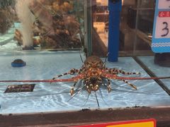 -阿伟海鲜楼·福建菜(延寿店)