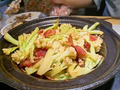 -鸽小宝(深圳首店)