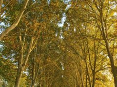 -河南省黄河迎宾馆