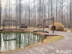 -黄海国家森林公园