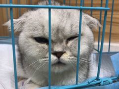 -联合动物医院(光谷诊疗中心)