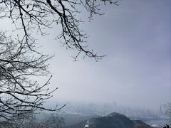 -紫金山山顶公园
