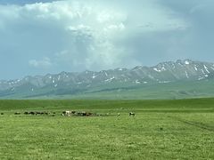 -新疆那拉提国家旅游度假区