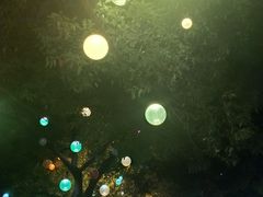 -自由港KTV(王子公主金平店)