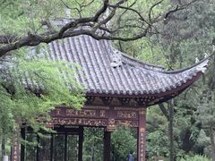 -汇龙潭