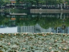 -宝岛公园