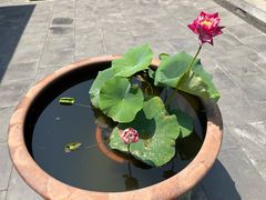 -李叔同故居纪念馆