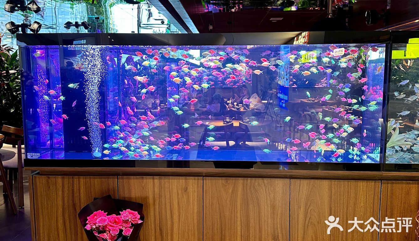 贵阳新店！小鱼餐厅好美啊！！🎏