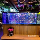 贵阳新店！小鱼餐厅好美啊！！🎏