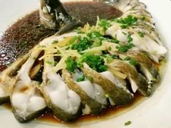 清蒸武昌鱼-茶港食堂(武昌店)