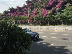 -狐尾山公园