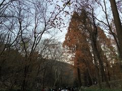 -穆老九清真牛羊肉馆(宋城店)