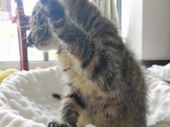 -长沙富力万达文华酒店