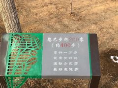 -大兴滨河森林公园