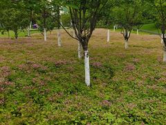 -杭州城北体育公园