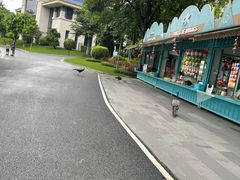 -森波拉奇妙世界