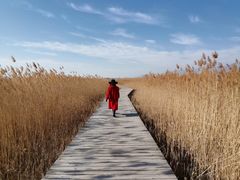 -野鸭湖国家湿地公园