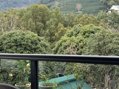 -阿巧茶庄