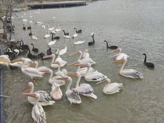 -新疆天山野生动物园