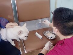 -宠颐生中康贝怡动物医院