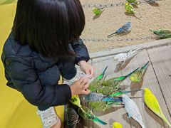 -上海大自然野生昆虫馆(东方明珠·爬宠昆虫探索中心)