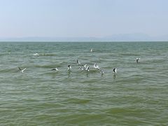-捞渔河湿地公园