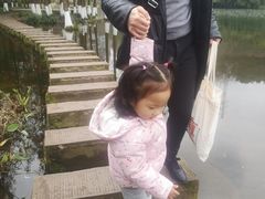 -重庆彩云湖湿地公园