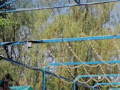 -长白岛森林公园