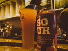 -虚荣精酿酒屋(五羊店)