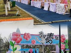 -西北湖绿化广场