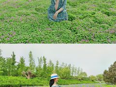 -汉长安城未央宫国家考古遗址公园