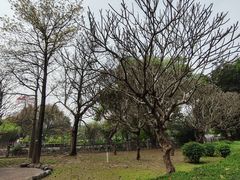 -晓港公园