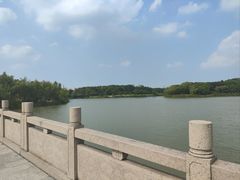 -昆山城市生态森林公园