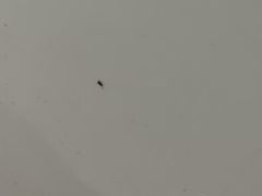 -鑫雅居公寓(广州南站地铁站店)