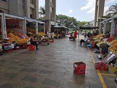 -新鸿港水果市场